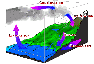 Ground and Surface Water Interactions Laboratory