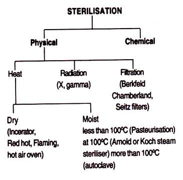 Moist Heat Applications To Control Microorganisms Concept Map United