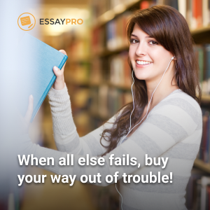 Social Work Research in Practice II